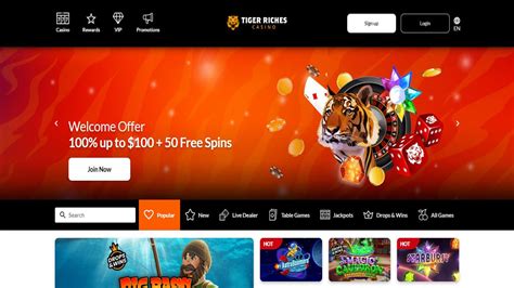 Tiger riches casino login